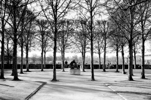 Reflection de la Nuit